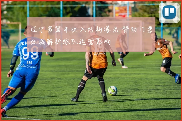 辽宁男篮年收入结构曝光 赞助门票分成解析球队运营影响