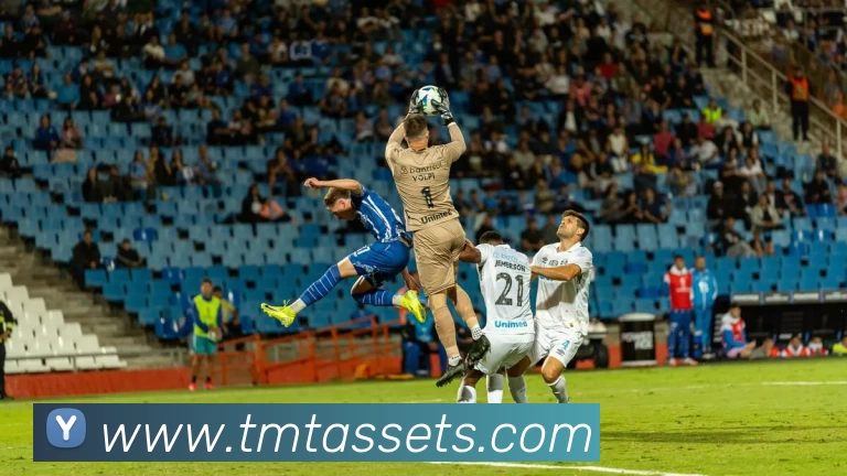 多媒体互动体验